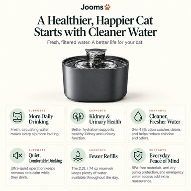 Jooms Cat Water Fountain