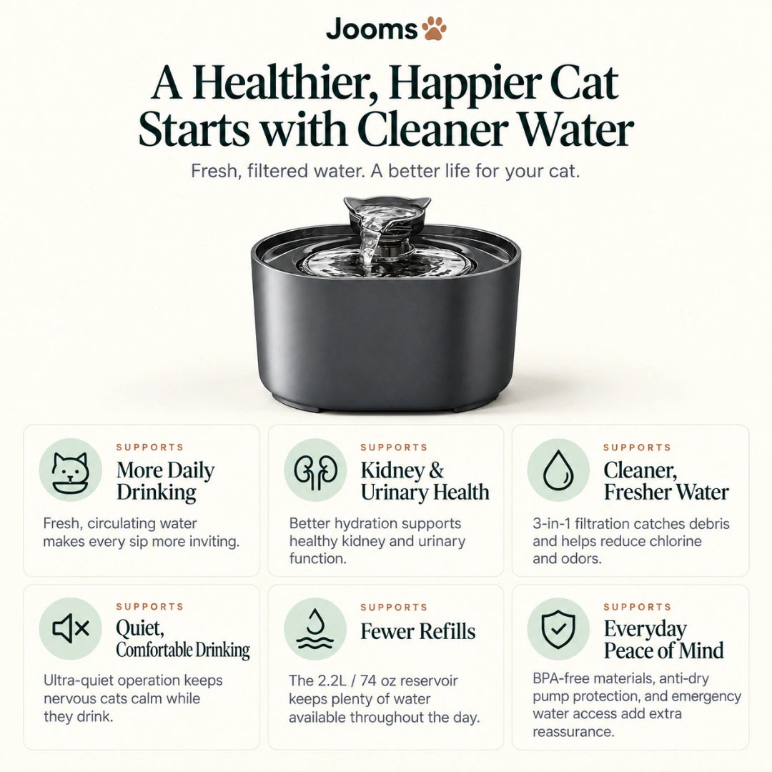 Jooms Cat Water Fountain