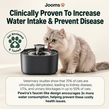 Jooms Cat Water Fountain