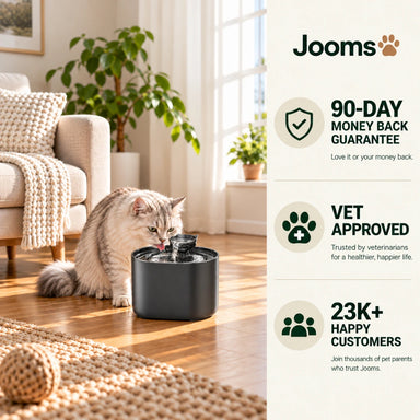 Jooms Cat Water Fountain
